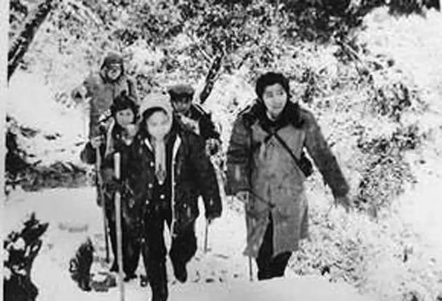 『徐少华』朱琳：被传与徐少华“假戏真做”，53岁再婚，68岁丁克无子女