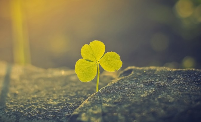 运势|7月中旬，事业一路高涨，迎来曙光，大家得罪不起的属相