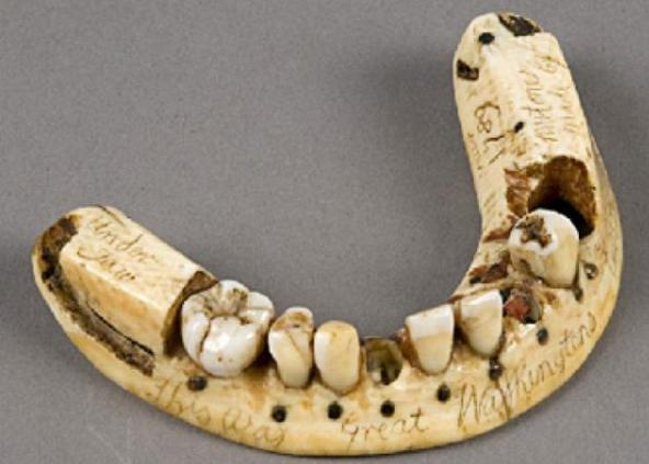 【医生】那些课本上没教过的历史事件（五）