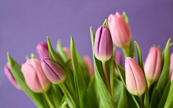 巨蟹座:6月,另寻新方向,潜力无限,开启人生赢家模式,未来可期的星座