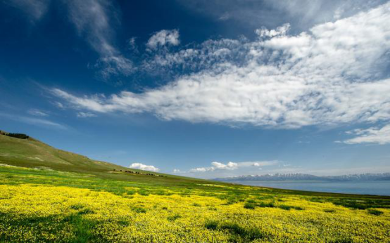 【】未来1周，扭转困局，逆境中涅槃重生，过关斩将一举夺魁的星座