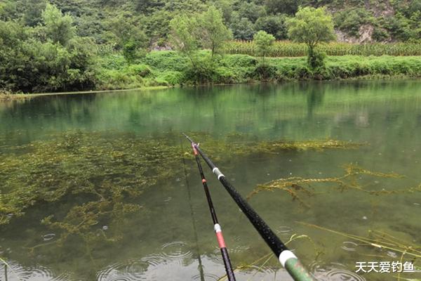 鲫鱼|野钓选钓点没那么难，按照这些规律选钓点，鱼会在这些位置扎堆！