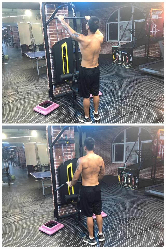 健身|健身不练背，迟早要后悔，真人演示全套练背动作，拿走不谢！