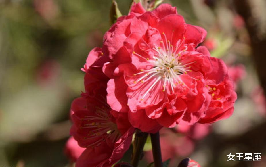 「生肖」这3个生肖6月24号之后有财神亲临家门，十有八九发横财