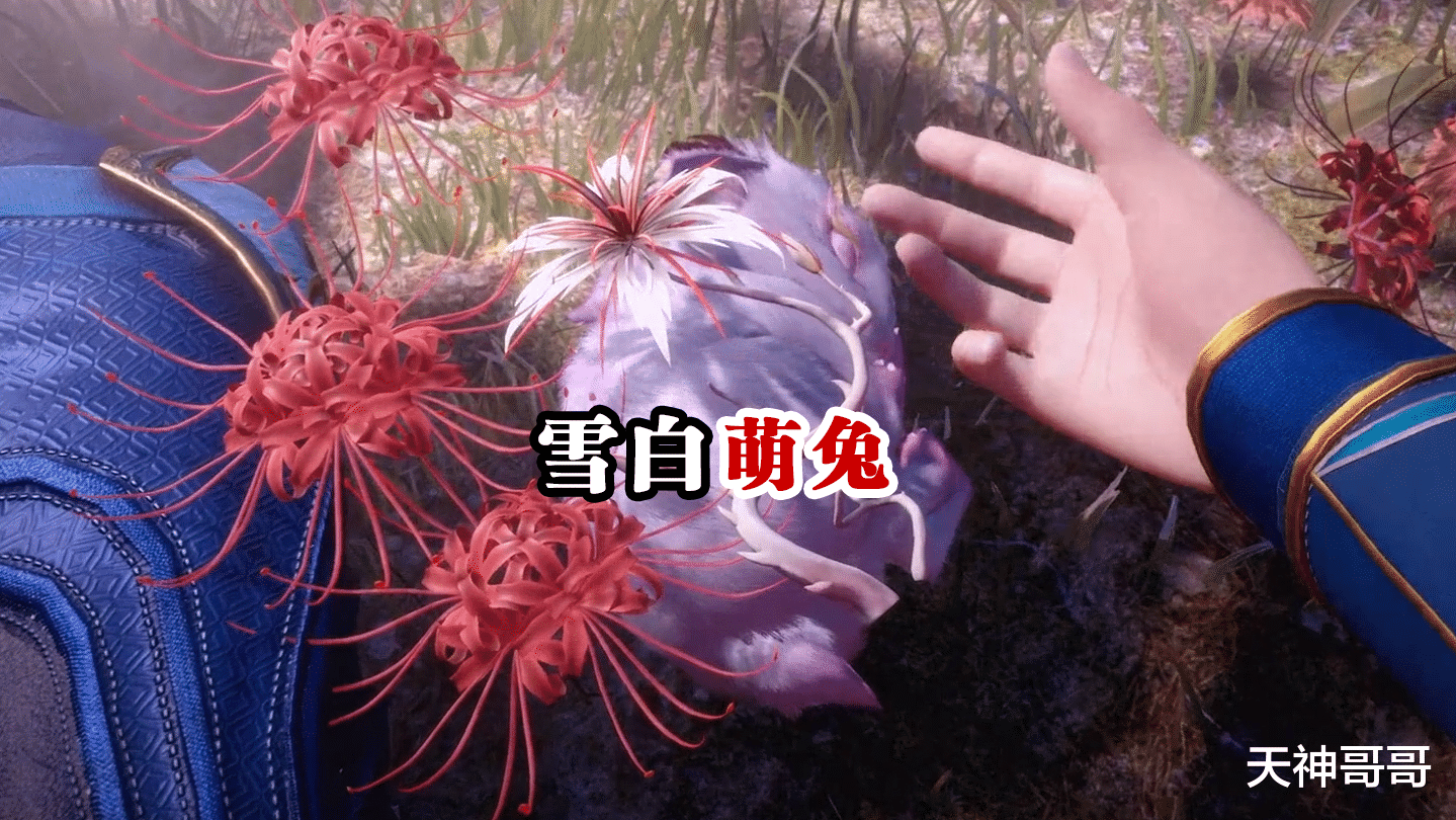 小舞|小舞献祭成雪白萌兔，有谁注意到唐三的瞳孔？它成功挽救小舞的本体躯壳