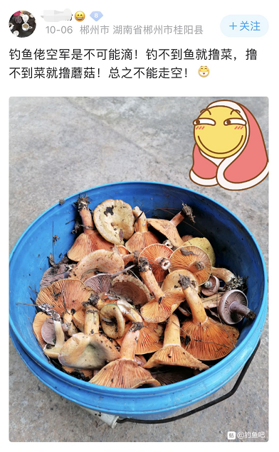 港珠澳大桥|港珠澳大桥上钓鱼？钓鱼佬的沙雕，你根本想象不到