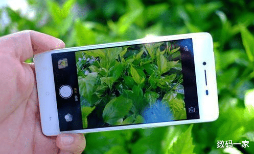 软件：不敢随便自拍了？继AI换脸后，“一键去衣”功能出现，女性难接受