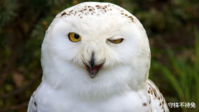 |21个冷知识:书本上不会出现,但却真实存在