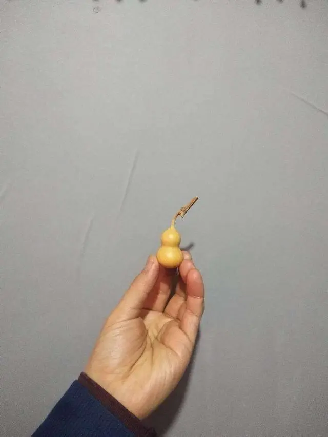 钱币|文玩圈惊现“天价葫芦”,是普通文玩葫芦的100倍