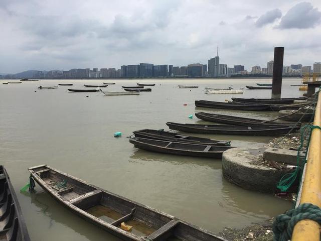 钱塘江▲钱塘江退潮，江边水坑鱼群搁浅, 钓鱼人发现“怪鱼”