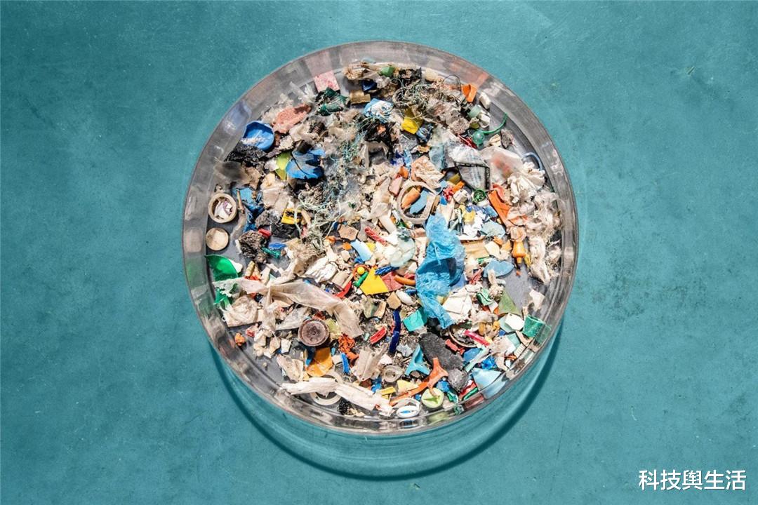 科学家|人类的身体中，发现了不该存在的东西，又被霍金说中了？