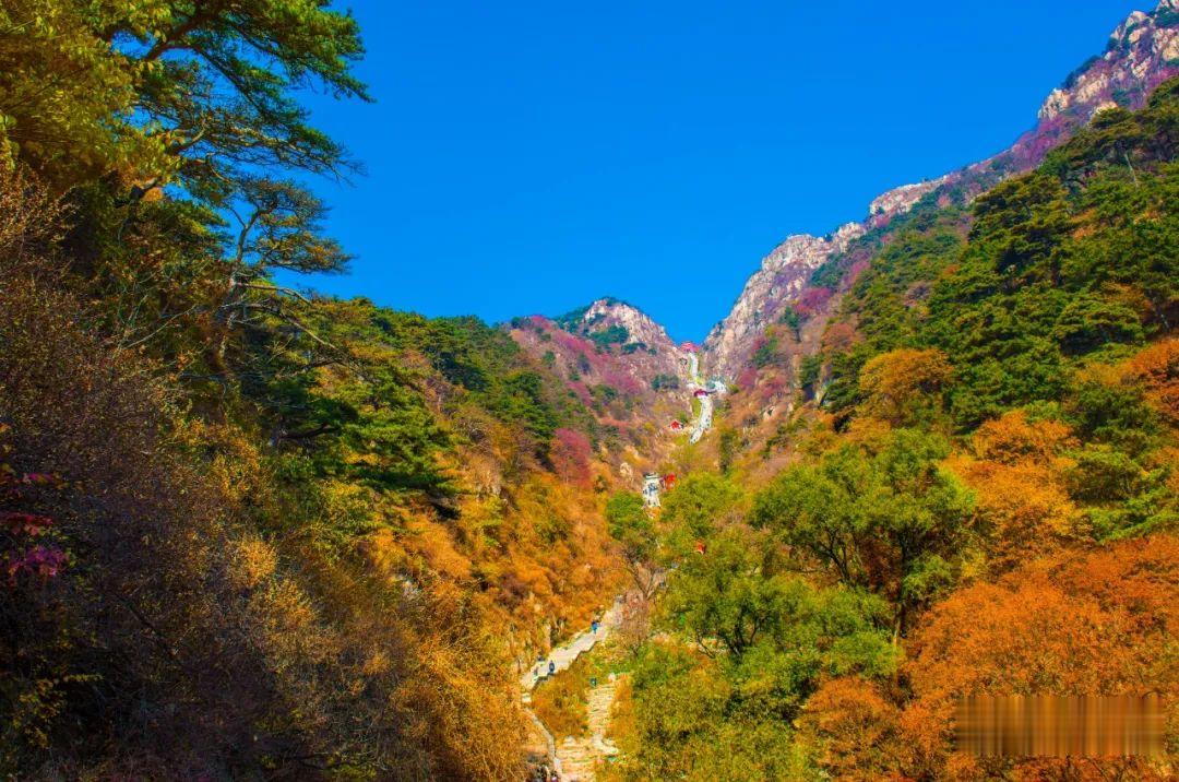 |有此美景 何必远行