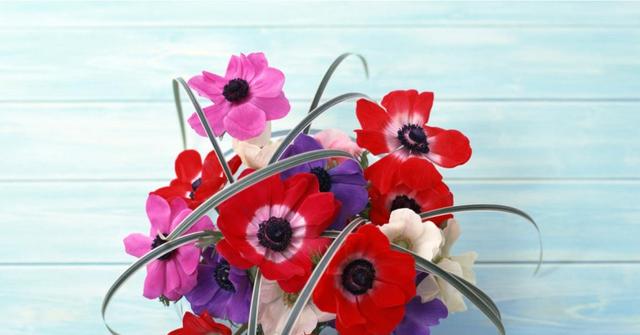 运势|8月底,财气进门,运势走高,3属相机会越来越多,生活百事顺