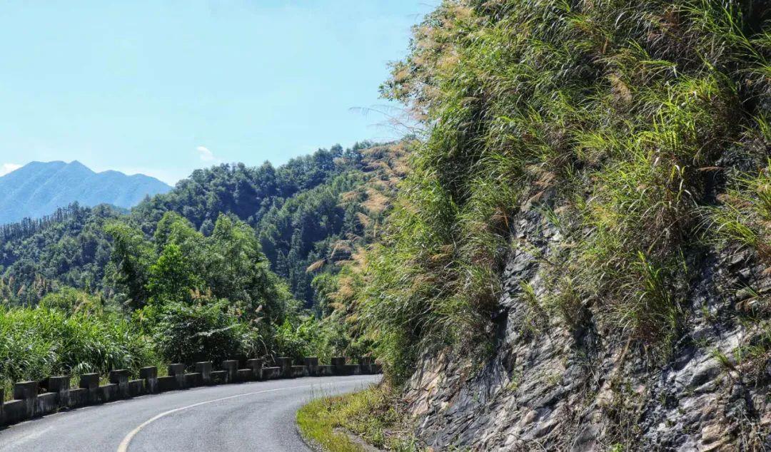 宏村|驾游皖南金项链：不必去远方，最美皖南风景道就在S222省道