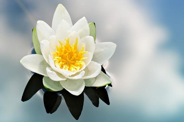 生肖|8月,熬过苦日子,翻身在即,4生肖努力有回报,咸鱼翻身惹人喜