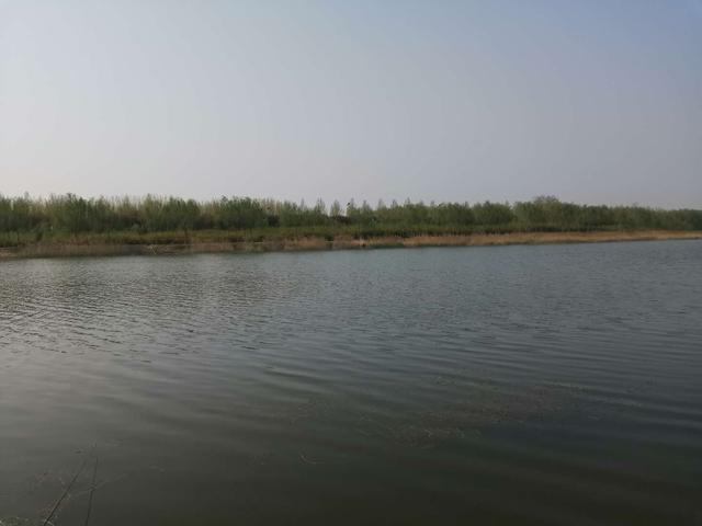 「」钓鱼：刚才鱼口迅猛，怎么就突然没口了呢？