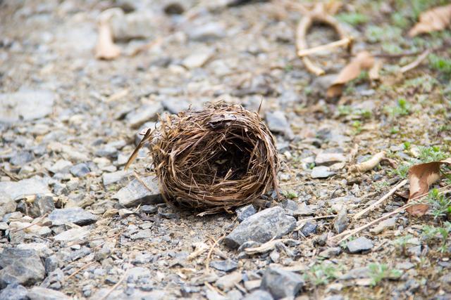 『』行走秦岭水泉沟：房都建在高高的山坡上，远看仙气很足，诗情画意
