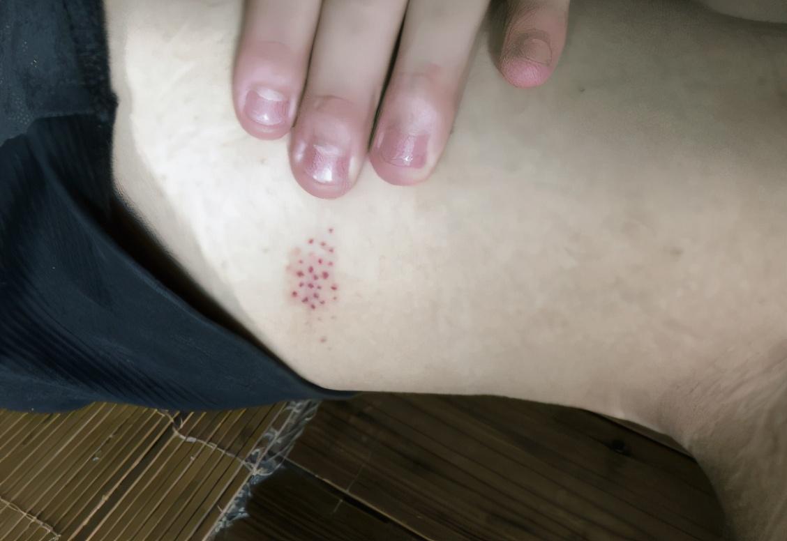 玉米|“大火过后的玉米地,俺觉得蘸酱吃更美味...”哈哈哈吃货眼馋了