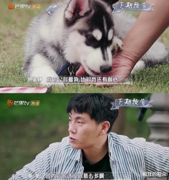 秦昊|被伊能静连累，秦昊口碑大跌，仿佛看到了周一围和张杰