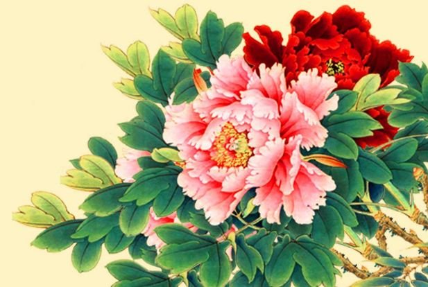 巨蟹座|11月15号开始财星的庇佑，财运滚滚，生肖财运临门，运气火旺