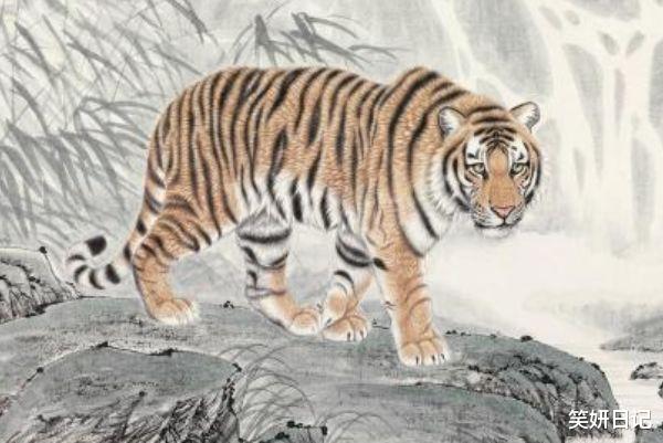 |生肖虎再过2天，一辈子最大的贵人来找你了，9月秒变大“金”虎