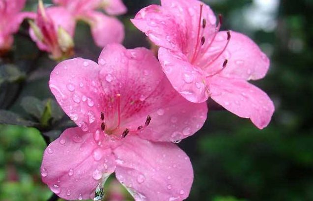 生肖：开始摆脱担忧，并在6月迎来好运，这4个生肖有望致富!