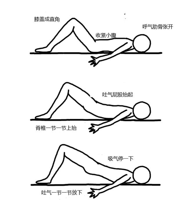 运动|50岁后肌肉会流失！如何带爸妈练核心肌群？