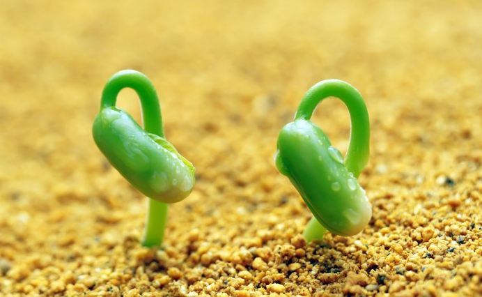 运势▲6月中旬，事业爱情全有，霉运消失，福气满堂彩的生肖