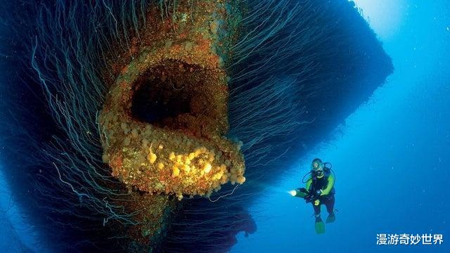 #月球#28张令人窒息的巨物图片，看得头皮发麻……