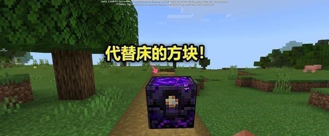 [我的世界]我的世界：仔细观察过村庄中的教堂吗？那里有一个很大的问题