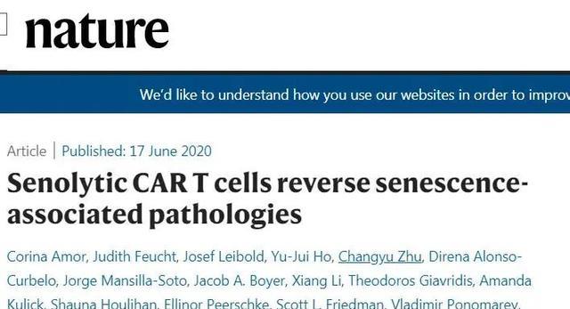 科学家■10天消灭100%衰老细胞,美科学家发现逆转衰老新机制(1)