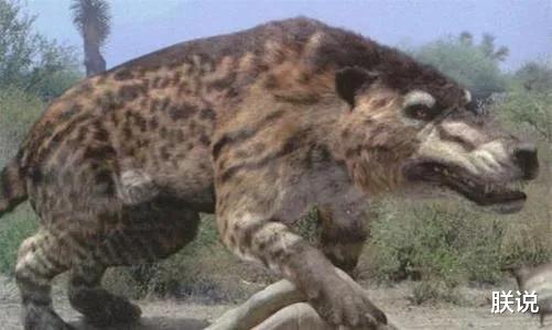 「毒液」新生代生物图鉴：哺乳动物顽强对抗恐龙后代，人类先祖出现