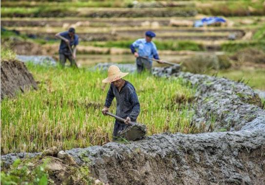 古人智慧|“有福之人两腿毛，无福之人毛两腿”，老祖宗观人术，你注意过吗