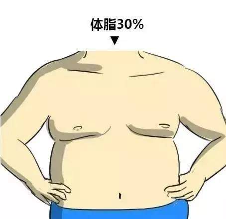 :如何把体脂率减到可以看见六块腹肌?