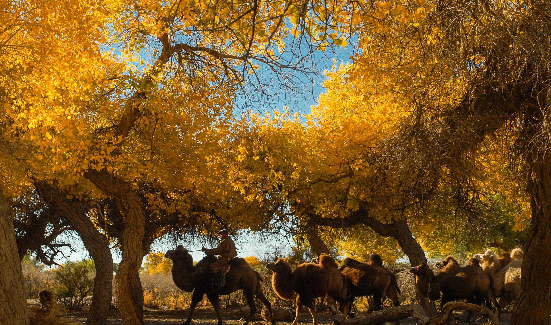 旅行|国庆节最适合去的8大旅行目的地，能避开人山人海，还有绝美秋色