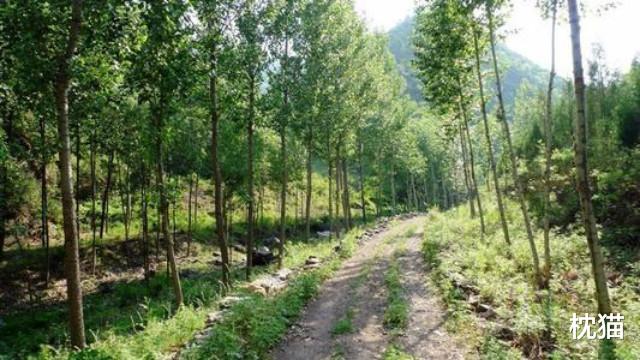 学霸@“北大学霸”王青松，携妻隐居山林11年，坐吃山空花光积蓄