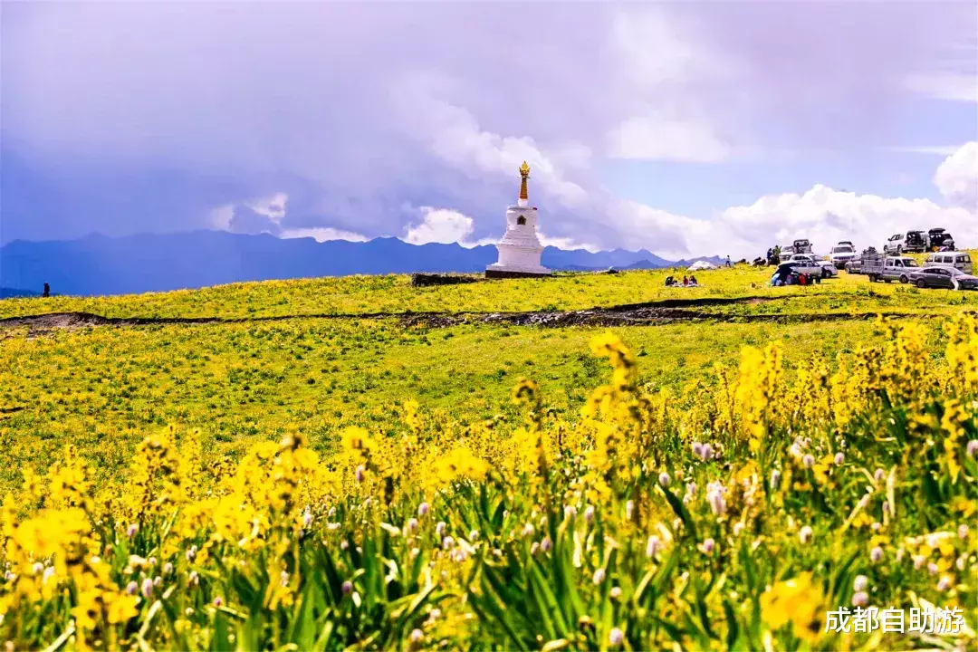 『川西』不输俄么塘！川西又一冷门万亩花海开放，不收门票，赏花观云还不打挤