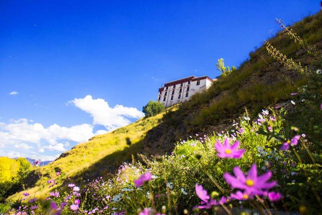 @自驾游别为省钱睡在车内？司机：记住这些经验，不然长眠不醒