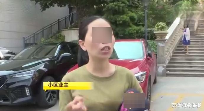 安徽海豚播报|业主要投票决定物业的去留，物业心虚了，派出十几名保安阻拦