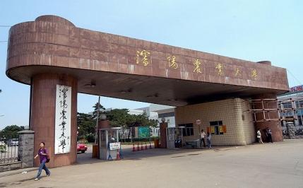 大学排名■“全国重点大学”今何在—盘点94所“全国重点大学”的现状