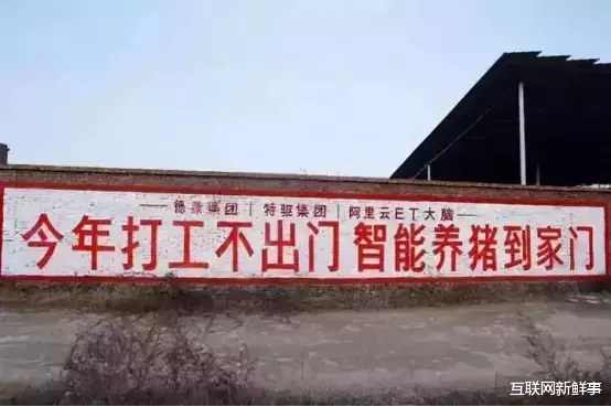 电影▲万科入局!大厂为什么都要养猪?