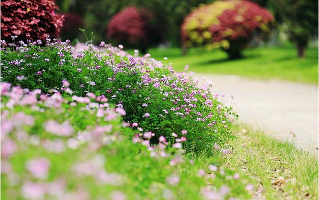 @再好的专业大学都比不过本科大学？这是为什么？听听过来人怎么说
