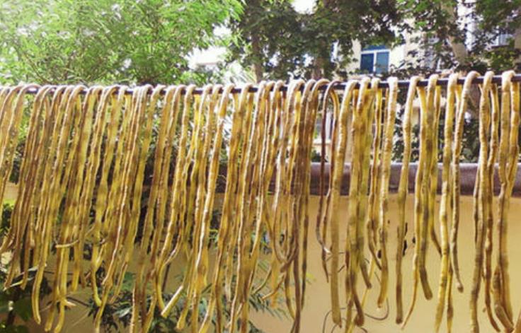 豆角|做干豆角时，为啥要用盐水煮一下？内行人说出实情