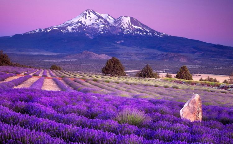 生肖|8月发发发,大财躲不掉,3属相运势大旺,得贵人青睐,福禄不缺