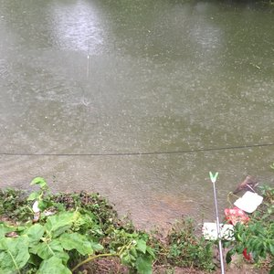捕鱼|下雨天真的适合钓鱼吗？鱼真的容易上钩吗？