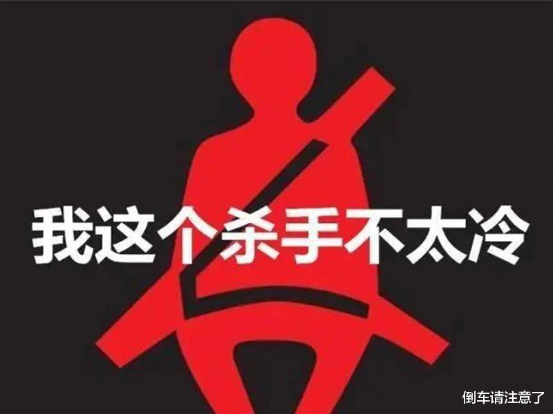 |汽车仪表盘亮起“乌龟晒太阳”是什么意思?交警:劝你多读书!