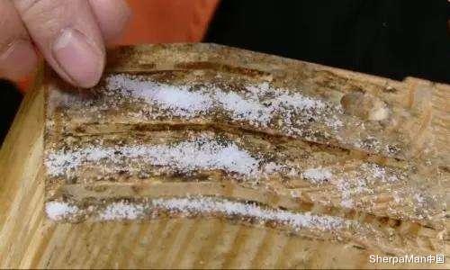 阿里巴巴|小米有品连刀架都智能？专利设计“弹簧”插刀槽，全身水洗不发霉