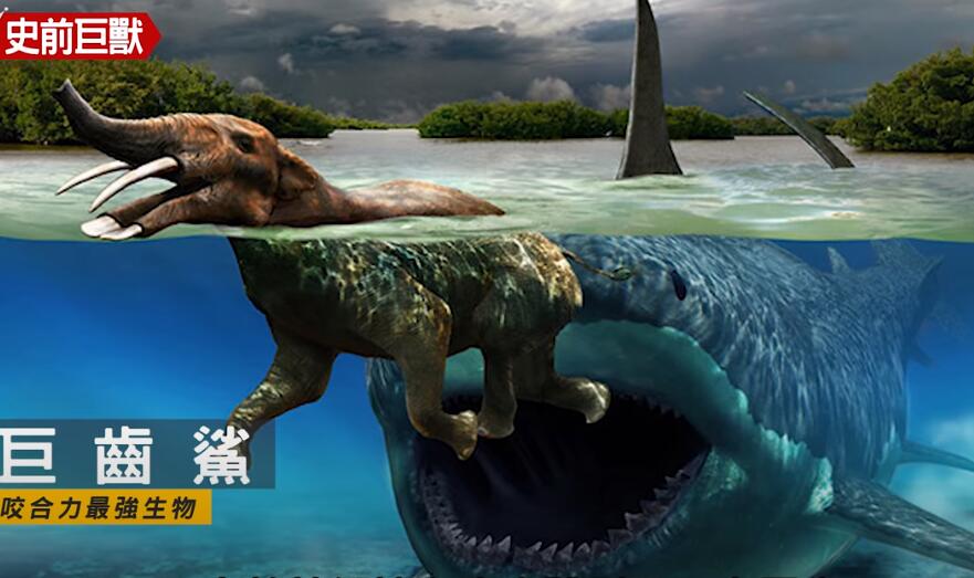 恐龙|史前超级巨兽，曾经各霸一方的食物链顶端猎食者！