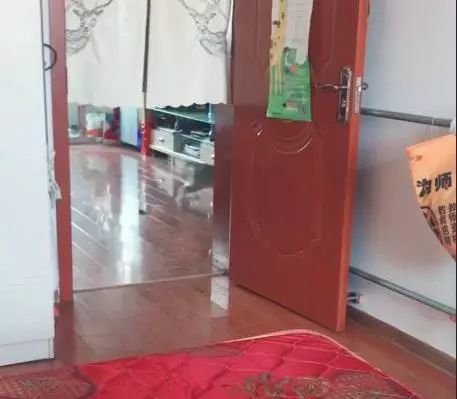 哈士奇对小二哈的教育让主人崩溃这是拆家要从小学起吗