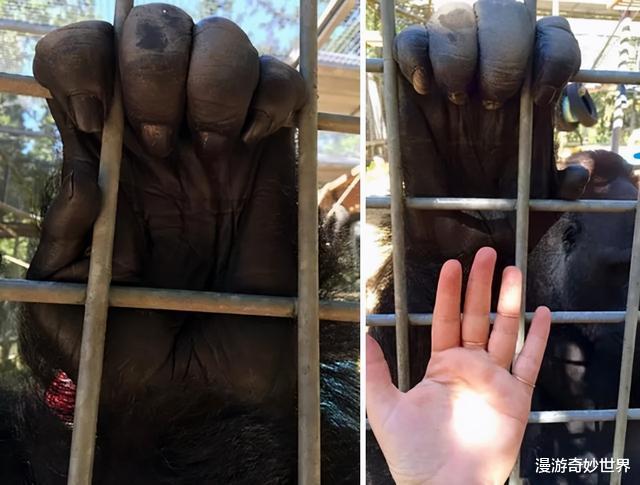 |活久见的25张图，让你眼界打开！